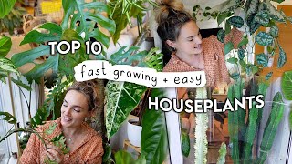 10 Fast Growing EASY Indoor Plants 🌿 Easiest  Fastest Growing Houseplants [upl. by Neuberger]