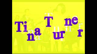 It Sho Aint Mine TINA TURNER Video Steven Bogarat [upl. by Arikal]