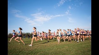 American Athletic Conference Cross Country Championships [upl. by Normand]