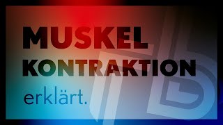 erklärt  Muskelkontraktion  rb 2020 [upl. by Adelpho]