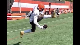 Odell Beckham Jr onehanded trick catch  Cleveland Browns [upl. by Sixele]