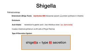 Shigella [upl. by Milon972]