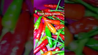 Fresh Siling labuyo satisfying asmr silinglabuyo shorts [upl. by Maziar466]