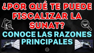 ¿POR QUE TE PUEDE FISCALIZAR LA SUNAT CONOCE LAS RAZONES PRINCIPALES [upl. by Auqinu]