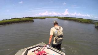 Stuck on a Sand Bar  quotNet Effectquot  WRAL Documentary Bonus Content [upl. by Ysied]