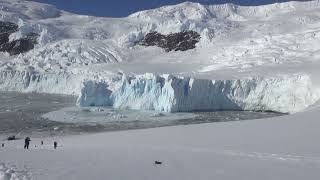 Glacier Calving [upl. by Nixon]