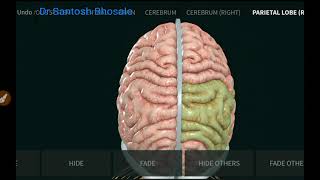 Anatomy of Dural foldsFalx cerebri Falx cerebelli Tentorium cerebelli amp Diaphragma selli [upl. by Akinirt]