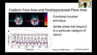 Where is the NCC for objects and faces Inferotemporal cortex IT Fusiform Face Area FFA [upl. by Atikkin]