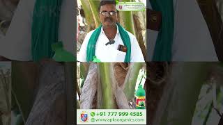 Tamil  Coconut Online Farmer MrAnbalakan giving feedback about our Cocomax result [upl. by Einaffit]