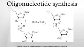 Oligonucleotide synthesis [upl. by Klayman]