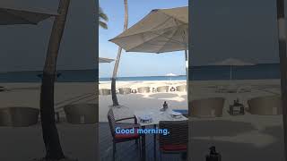 Every day above ground is a blessing Aruba itsabeautifulmorning [upl. by Yokum670]