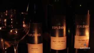 Esplandia Spanish Wine Commercial [upl. by Deeyn277]