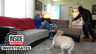 Dogs Tested to See Whether They’d Defend Owner During Home Invasion [upl. by Menard958]