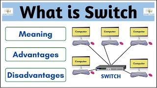 What is Switch Full Explanation Hindi  Computer Networking  Student Notes [upl. by Els225]