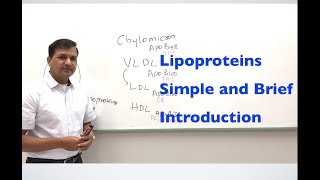 Lipoproteins  A Simple and Brief Introduction [upl. by Mir]