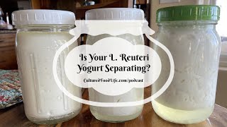 Podcast Episode 267 Is Your L Reuteri Yogurt Separating [upl. by Ecinrahs583]