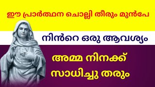 ഈ പ്രാർത്ഥന ചൊല്ലി തീരും മുൻപേ നിൻറെ ഒരാവശ്യം അമ്മനിനക്ക് സാധിച്ചു തരും l miraculous marian prayer [upl. by Eima532]