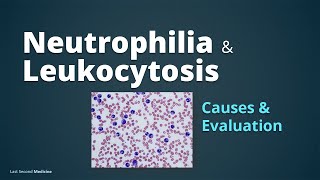 Neutrophilia amp Leukocytosis  Pathophysiology of Leukocytosis Causes amp Evaluation [upl. by Niamrej694]