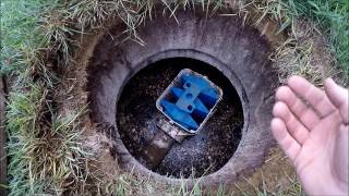 Sewer Fly  Drain Fly Larvae in your septic and what to do about it [upl. by Willmert]