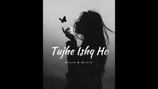 Tujhe Ishq Ho  Slowed  Perfection  Reverbed  Jan Nisar full OST  Sahir Ali bagga  hiba bukhari [upl. by Sebastiano236]