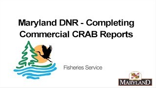 Completing Commercial Crab Reports  Maryland Department of Natural Resources [upl. by Dimitri]