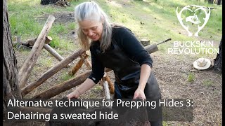 Alternative Technique for Prepping Hides 3 Dehairing [upl. by Ateekal]