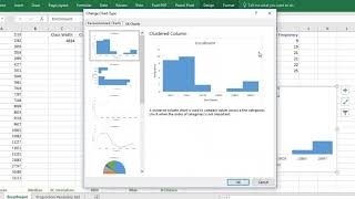 Inserting a Histogram into an Excel Sheet [upl. by Garcon]