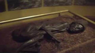 Action Thriller Author James Rollins tour the Tollund Man Peat Bog [upl. by Crim346]