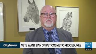 Banning pet cosmetic procedures [upl. by Alitha]