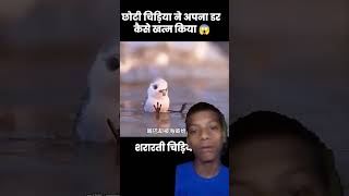 Choti chirana apna Dil SE khatam Kiya 😱 [upl. by Nylarej]