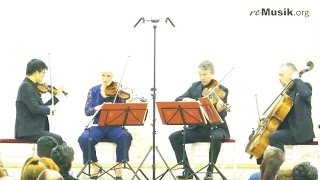 Helmut Lachenmann  String Quartet № 3 “Grido” [upl. by Ilyk439]