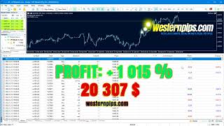 Slow broker for arbitrage CPT Profit 20 k HFT [upl. by Nomolos]