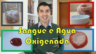 SANGUE E ÁGUA OXIGENADA [upl. by Noinatrad]