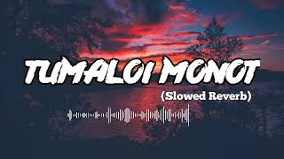 Tumaloi Monot  Lofi slowed  reverb Kalpashi Gayan Ft Meghali B [upl. by Yhtamit595]