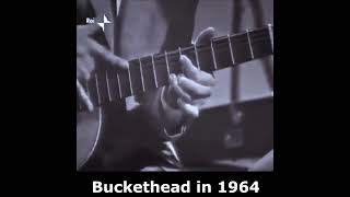 Buckethead Guitar tapping in 1964 😲 [upl. by Akiehsal]