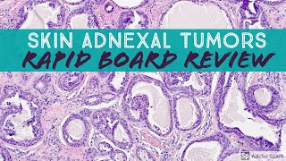 Skin Adnexal Tumors Dermpath Board Review for Dermatology Pathology amp Dermpath [upl. by Nirehs]