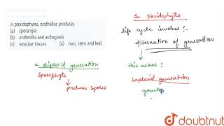 In pteridophytes prothallus produces  11  PLANT KINGDOM  BIOLOGY  NCERT FINGERTIPS  Doubtn [upl. by Eniamor]