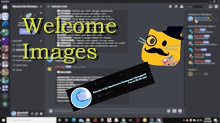 How to setup Welcomer WELCOME IMAGES in Discord [upl. by Leahcar789]