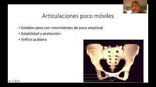 Generalidades sobre Articulaciones I [upl. by Nitsew]