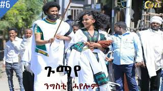 ንግስቲ ሓየሎም  ጉማየ  Nigisti Hayelom  Gumaye Raya  Best tigrigna Music [upl. by Letsou]