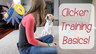 Clicker Training Basics  Teach Your Dog To HighFive [upl. by Nepil81]