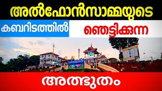 St Alphonsas Tombവിശുദ്ധ അൽഫോൺസാമ്മയുടെ കബറിടം [upl. by Annais]