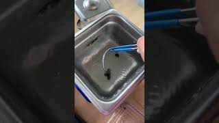 Cleaning Jewellery with an Ultrasonic Cleaner  Satisfying [upl. by Broek]