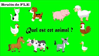 【Bruits de FLE】 Quel est cet animal  les animaux domestiques [upl. by Viglione]