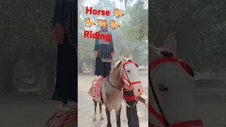 Horse 🐎🐎🐎🐎 riding song shorts status videos trending song shorts song [upl. by Fosque658]