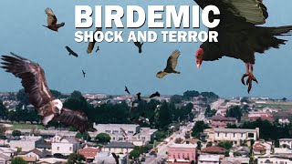 Birdemic Shock and Terror 2010 Carnage Count [upl. by Ashbey316]