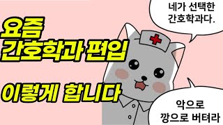 간호학과 편입 다른 사람들은 모르는 내용입니다 [upl. by Divadnhoj]