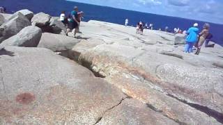 Peggys Cove Accordion Player [upl. by Htabmas]