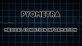 Pyometra Medical Condition [upl. by Gierk]