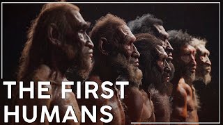 Why is The Paleolithic The Longest Era of Human History [upl. by Styles]